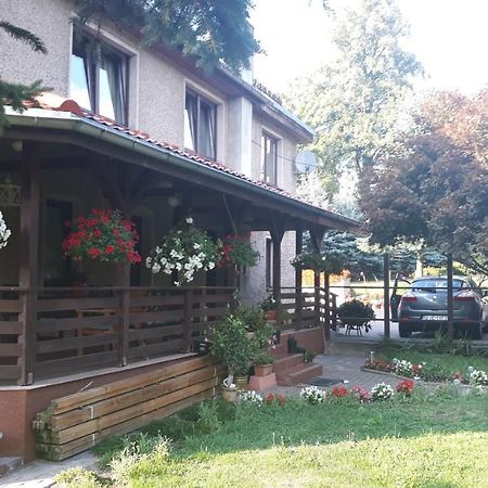 Apartament Antonówka Pod Dudziarzem Radomierz Zewnętrze zdjęcie