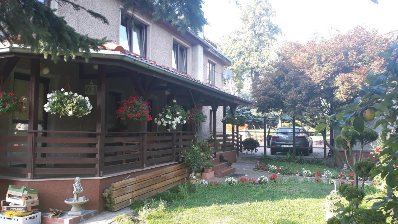 Apartament Antonówka Pod Dudziarzem Radomierz Zewnętrze zdjęcie